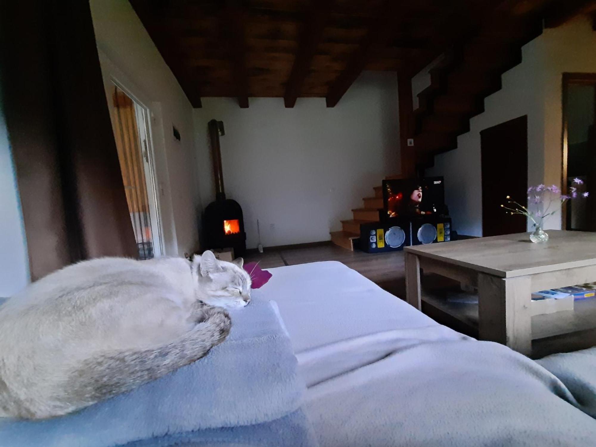 Mountain Cozy Home Sub Cetate 外观 照片